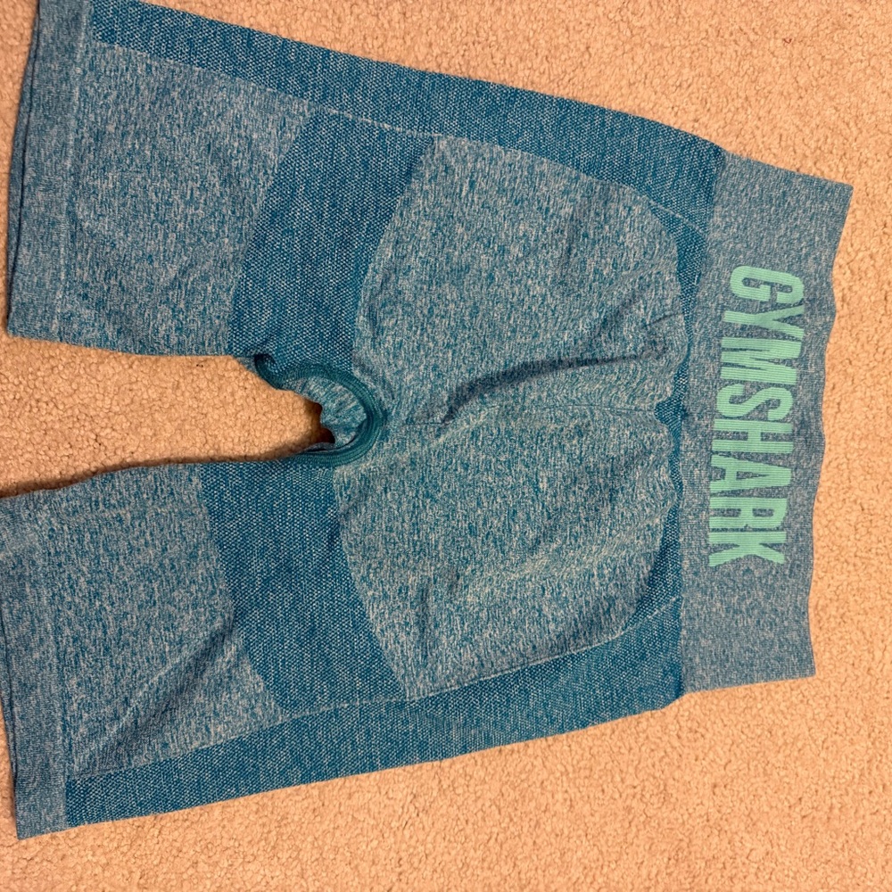 Gymshark Teal and Green Fitness Shorts